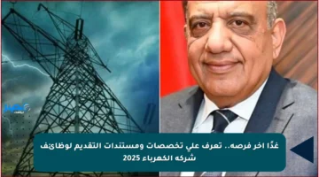 غدًا آخر فرصة.. تعرف على تخصصات ومستندات التقديم لوظائف شركة الكهرباء 2025